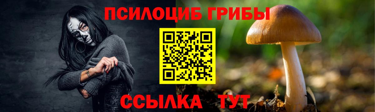Псилоцибиновые грибы Psilocybe Кунгур